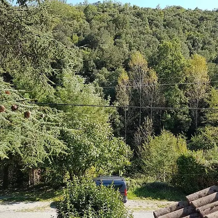 Frühstückspension Le Clos Du Cedre