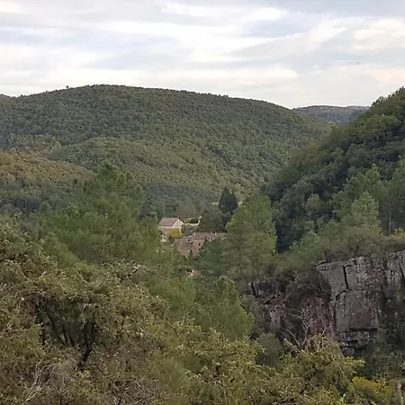 Le Clos Du Cedre Frühstückspension Saint Sebastien d'Aigrefeuille