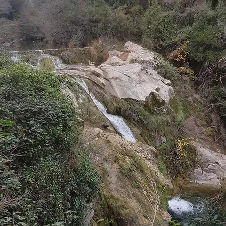 Le Clos Du Cedre Bed & Breakfast Saint-Sebastien (Gard)