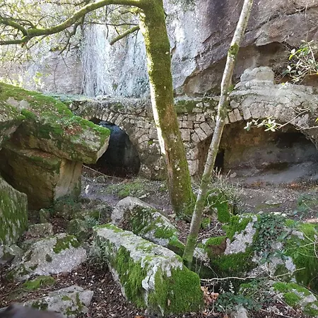 Le Clos Du Cedre 3* Saint-Sebastien (Gard)