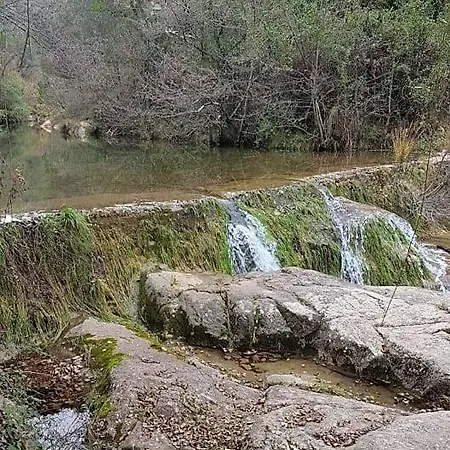 Le Clos Du Cedre