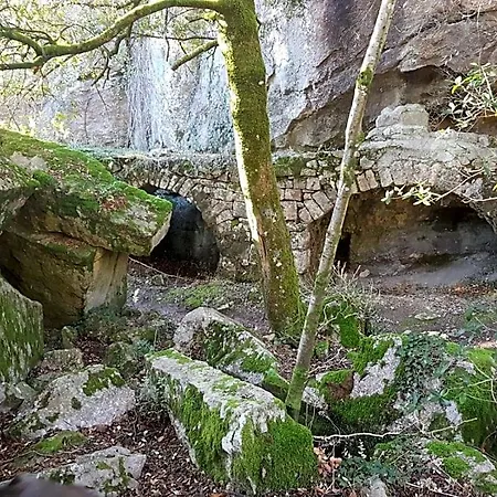 Le Clos Du Cedre 3* Saint Sebastien d'Aigrefeuille