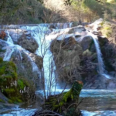 Le Clos Du Cedre 3*