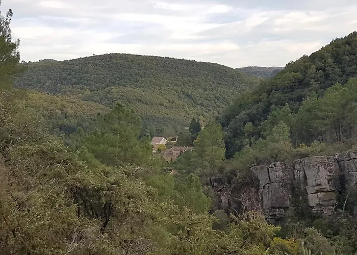 Le Clos Du Cèdre Bed & Breakfast Saint Sebastien d'Aigrefeuille